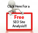 Free jacksonville business seo analysis