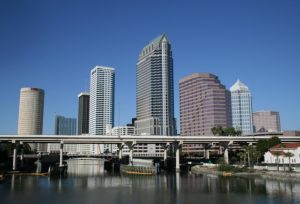 tampa seo comapnay